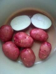 картофель от тульского фермерского хозяйства