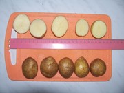 Продаем картофель средний 3-4 см,   2, 50 руб. 