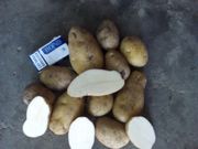 Картофель оптом  5, 6 цена с уч. доставки до Москвы