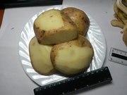 Картофель оптом с доставкой по РФ